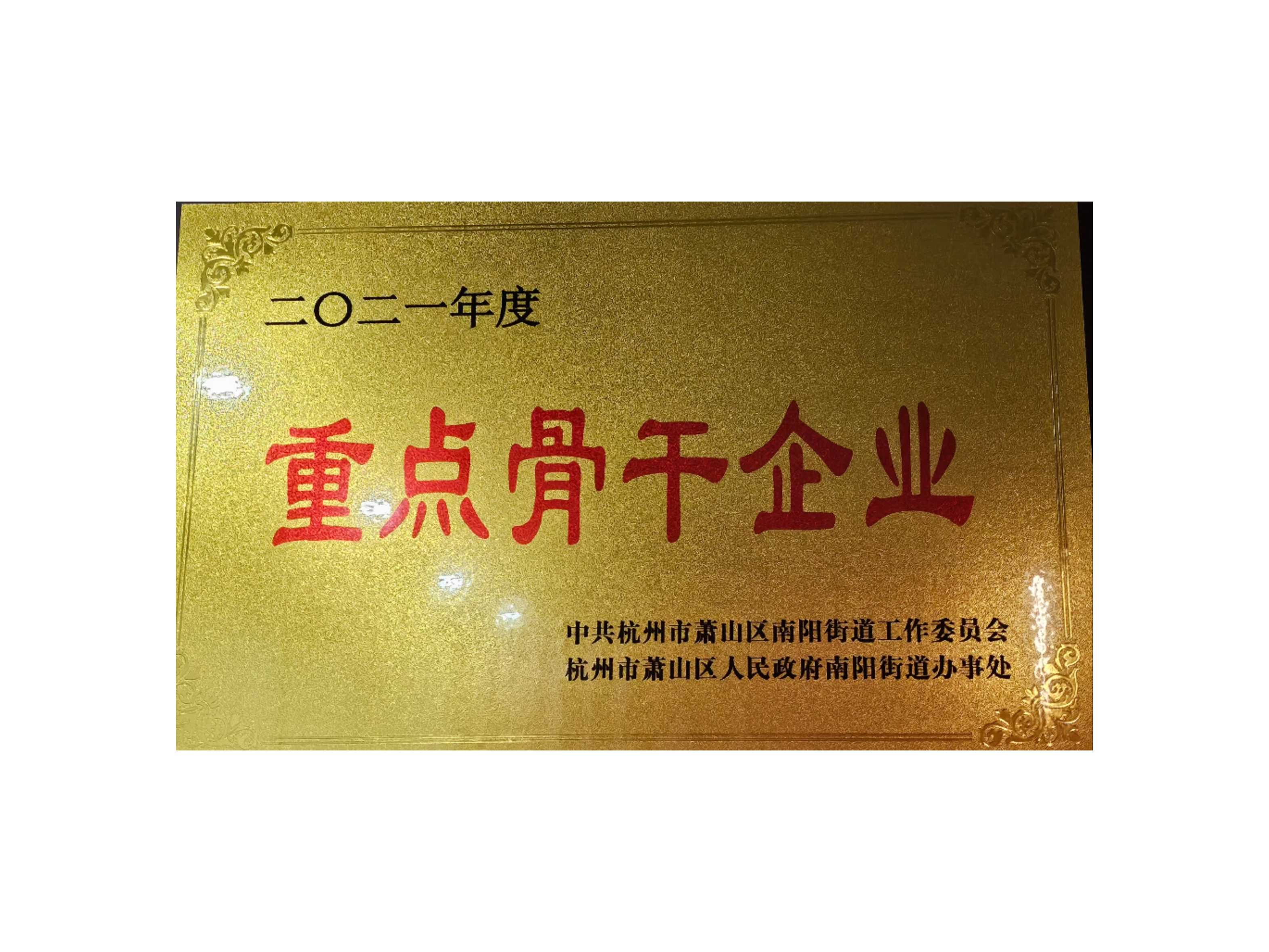重點骨干企業(yè)